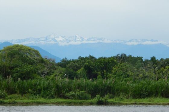 Palomino: Río y Playa