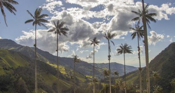 Eje Cafetero: Ruta del Café